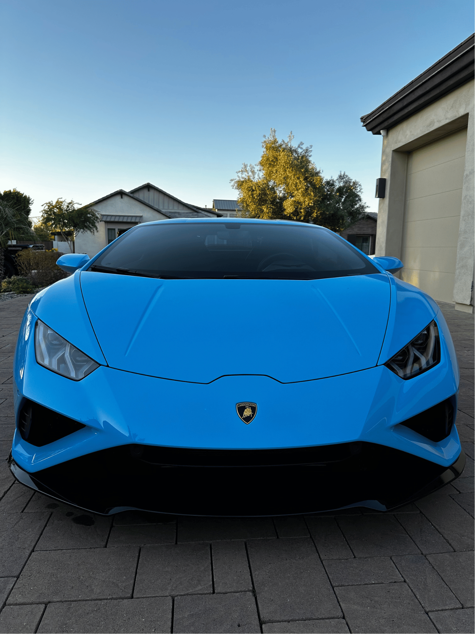 Lamborghini Detail Gilbert
